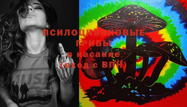 ПСИЛОЦИБИНОВЫЕ ГРИБЫ Алексеевка