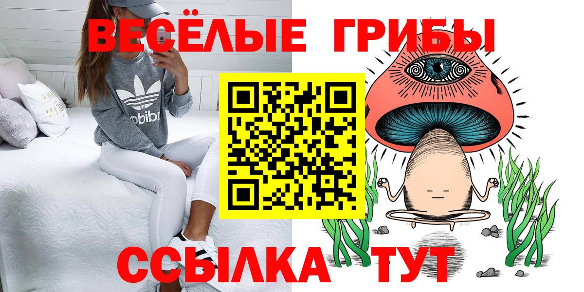 Кольчугино  Псилоцибиновые грибы Psilocybe  Вход с VPN 
